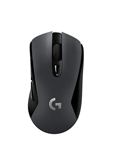 Logitech G603 - Best replaceable-battery option