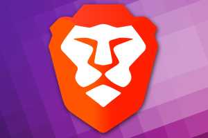 Brave browser: Do not save visited websites