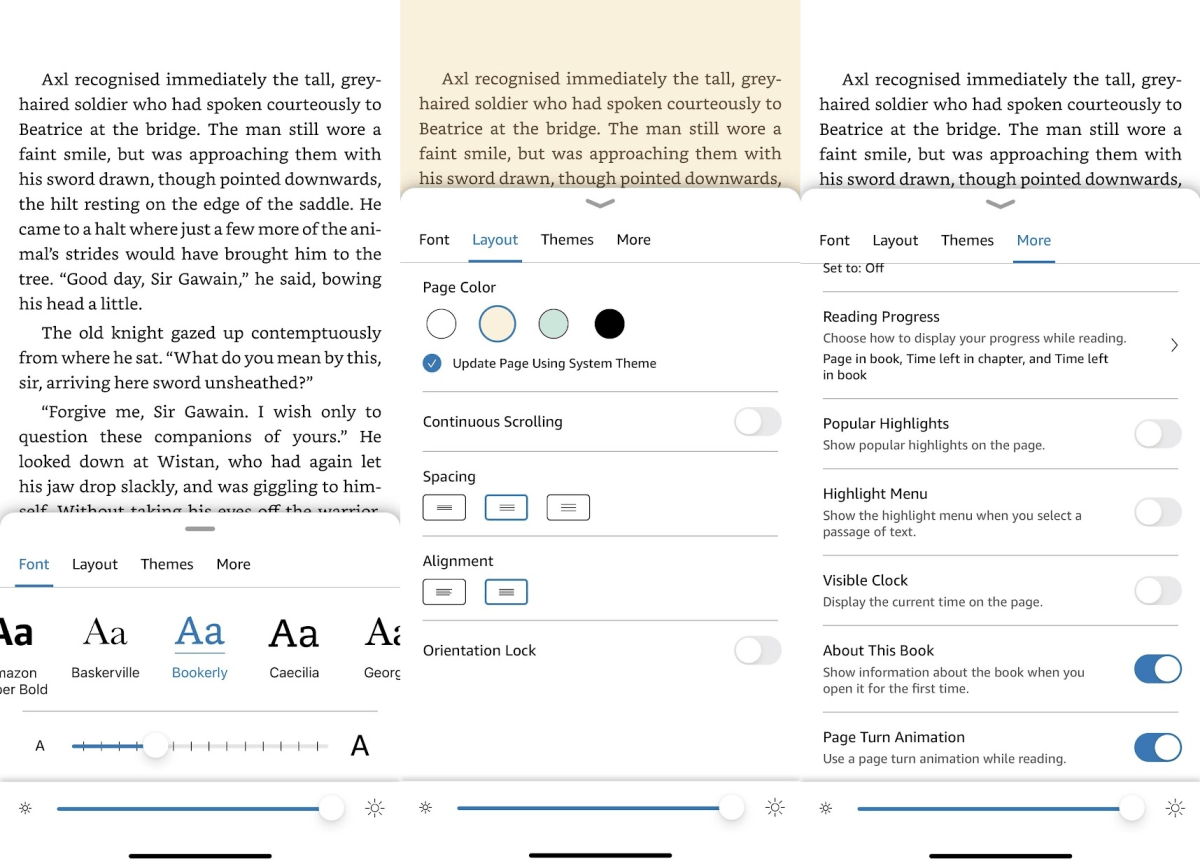 Reading options in Kindle's mobile app
